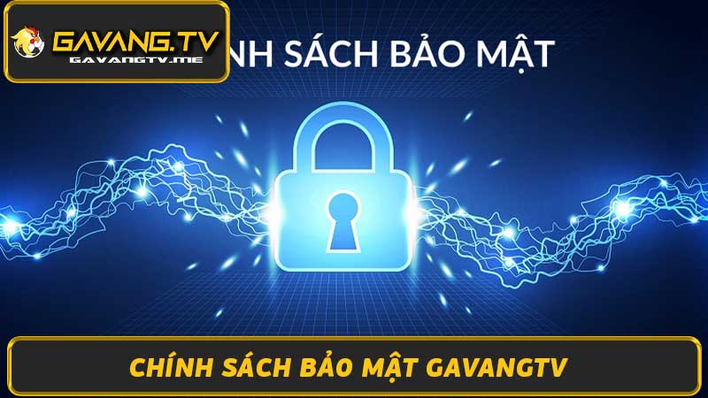 Chính Sách Bảo Mật Gavangtv - Bảo Vệ Thông Tin Người Dùng