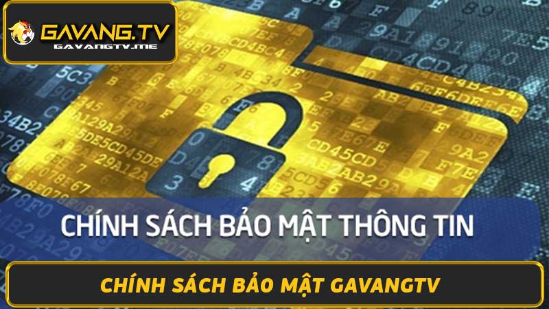 Chính Sách Bảo Mật Gavangtv - Bảo Vệ Thông Tin Người Dùng