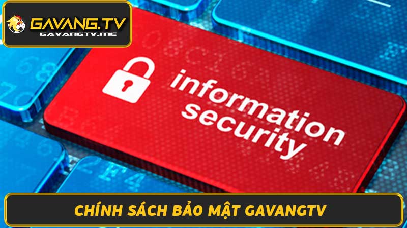 Chính Sách Bảo Mật Gavangtv - Bảo Vệ Thông Tin Người Dùng