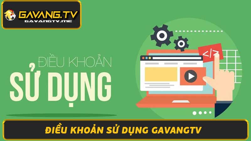 Điều Khoản Sử Dụng Gavangtv - Chính Sách & Quy Định