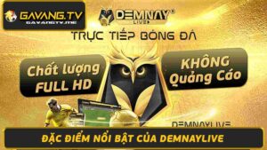 Giới thiệu Demnaylive Nơi xem bóng đá trực tuyến chất lượng cao