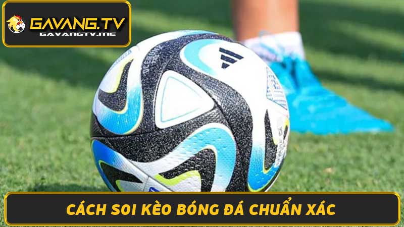 Tỷ Lệ Kèo Cá Cược Bóng Đá - Soi Kèo Chuẩn Xác Nhất 2024