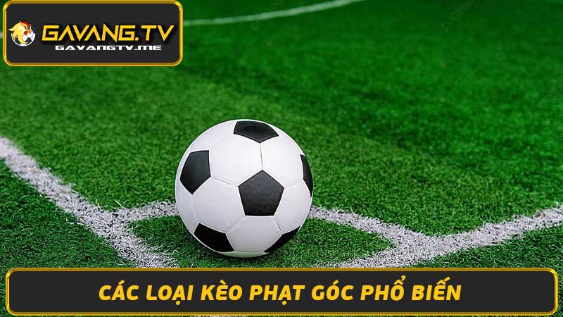 Kèo Phạt Góc Là Gì Cách Cá Cược & Lựa Chọn Kèo Hiệu Quả